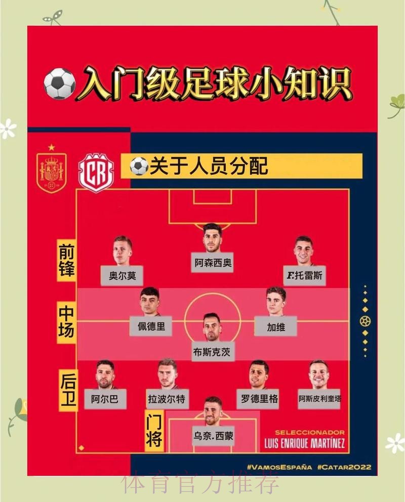 世界杯买球如何平衡风险与回报比例